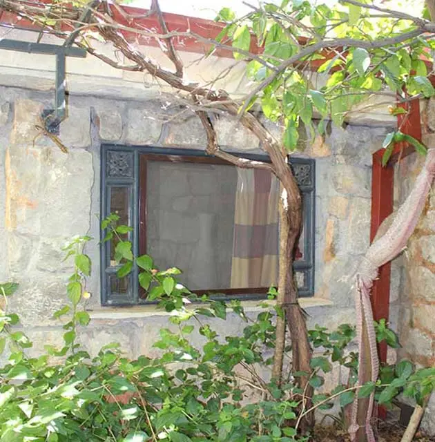 Steinernes Ferienhausfenster mit Weinranke und üppiger Begrünung im Innenhof.